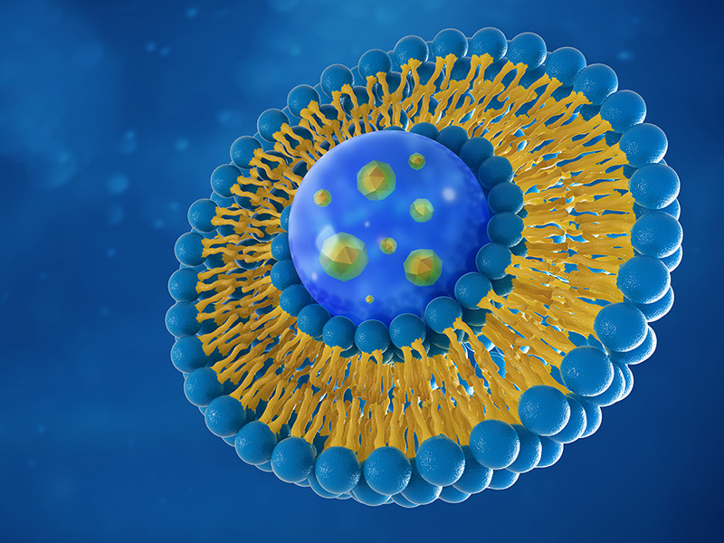 LIPOSOMES