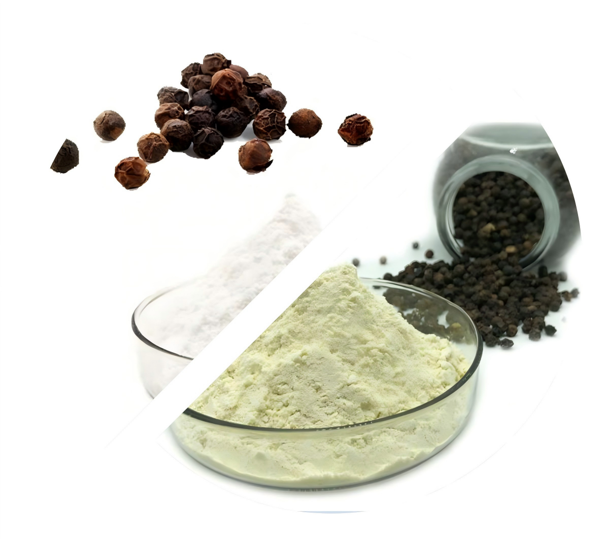 A Deep Dive into Black Pepper Extract (Piperine)