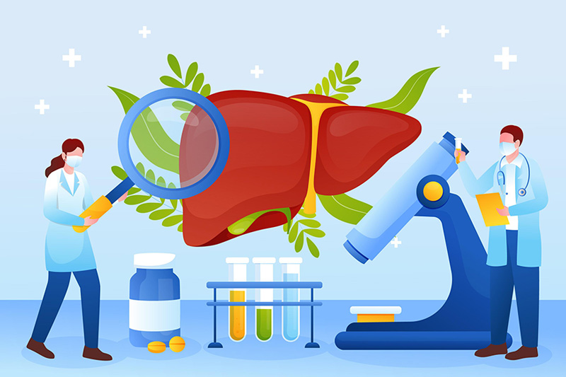 Blood Sugar Reduction & Liver Protection